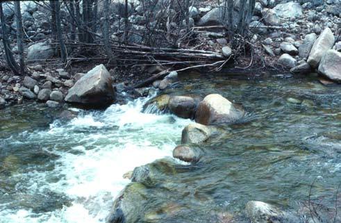 Stream Simulation Figure F.1 Natural boulder step on a tributary to the Entiat River, Willamette National Forest, Washington.