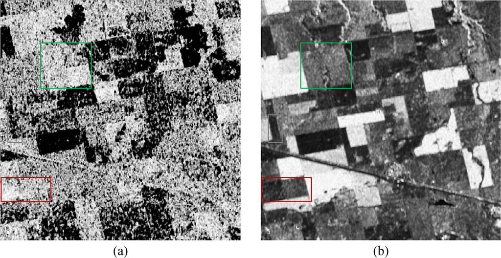Entropy images with Radarsat- data in Indian Head (small area), scaled between 0 and 1. ENL = 110 (a) first acquisition; (b) second acquisition. 6 db in the bluish parcel and from 1.