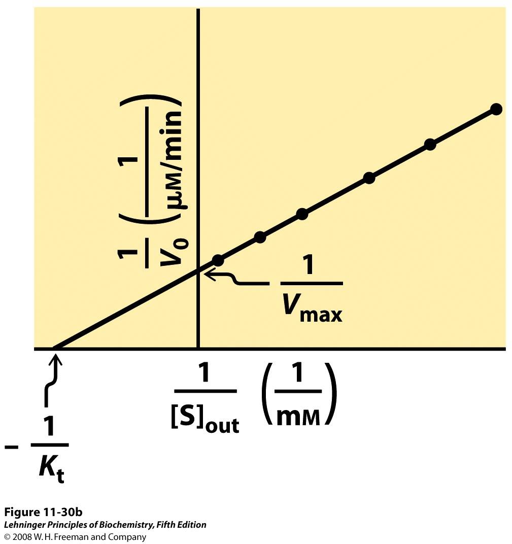 Double reciprocal plot (1/Vo vs 1/[S]out) allows the calculation of Vmax and Kt