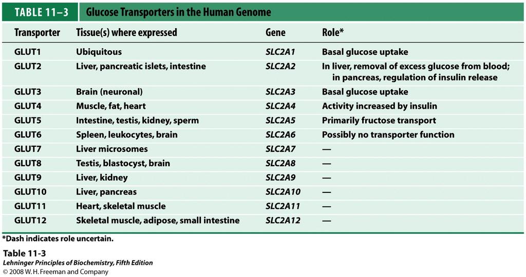 There are different isoforms of the GLUT transporter in human tissue.