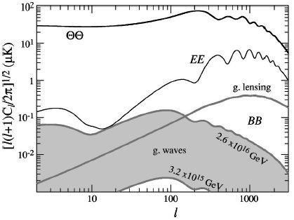 CMB Anisotropy from Gravity Waves ΘΘ = GW temp EE = E mode