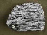 hornblende, augite, olivine (any 3) What is the diabase variety of this rock used for?