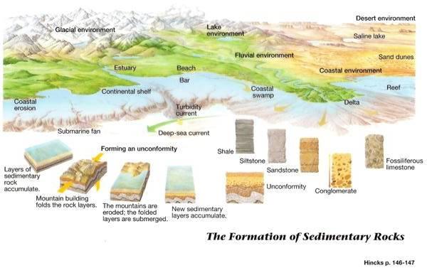 Quick Review of Sedimentary Rocks and Processes SEDIMENTARY ROCK - Compacted and cemented accumulations of sediment, which can be of two general types - clastic and chemical.