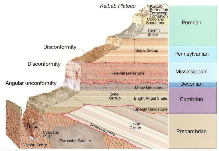 Classes of Geologic Units Units based on content or physical limits Lithostratigraphic Lithodemic Magnetopolarity Biostratigraphic