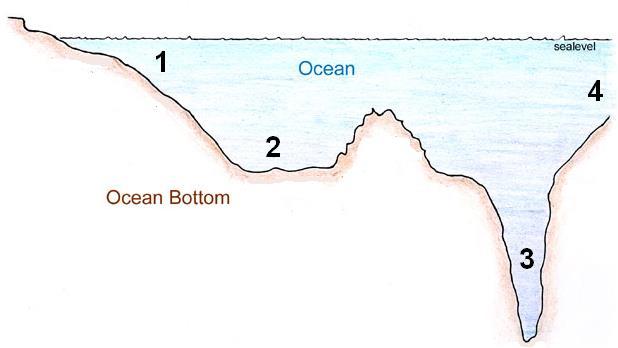 (makeup) of the ocean? Explain why deep water near the equator has a higher salinity than other parts of the ocean.