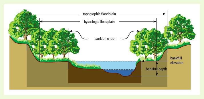 A topographic floodplain is the land adjacent to the channel, including the hydrologic floodplain and other land up to an elevation base reached by a flood peak of a given frequency.