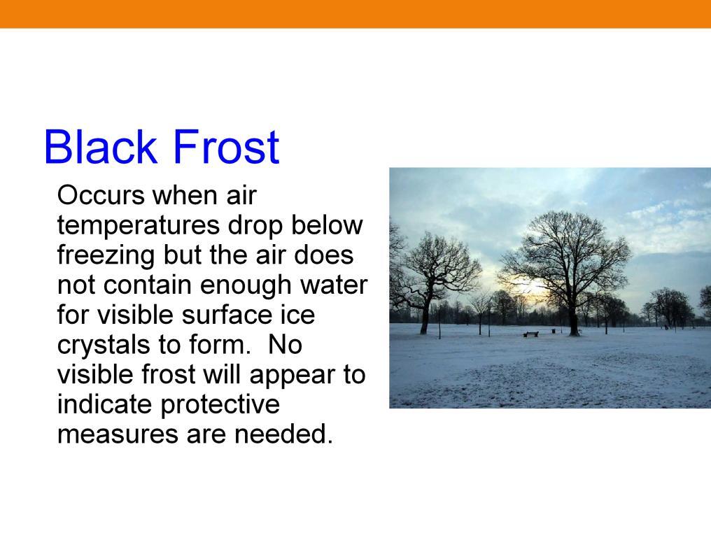 The second is called black frost.