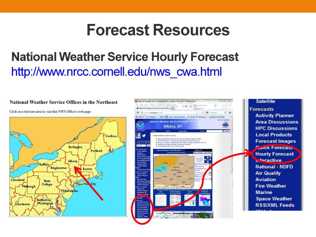 There are a multitude of weather forecast services available, both public and private. You probably want to look at several.