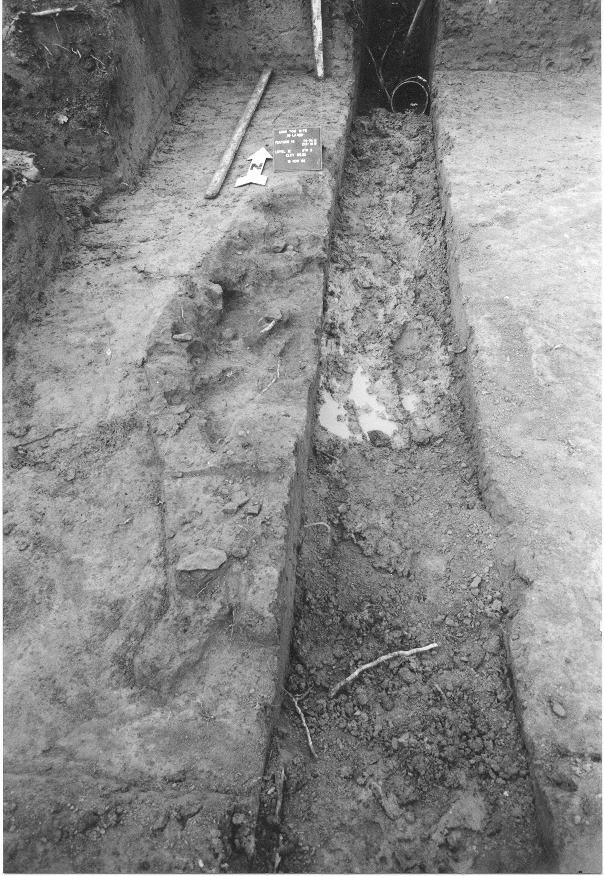 The Long Tom and Chalker Sites 104 Figure 7.28. Excavated remains of Feature 19 exposed at a depth of 120 cm.