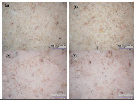 Figure 5: Digital Microscopy images of RC before (a) after adsorption (b) and of MC before (c) after (d) adsorption 2.3.