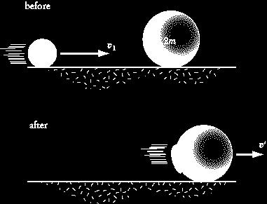 EXAMPLE Two gumballs, of mass m and mass 2m respectively, collide head-on. Before impact, the gumball of mass m is moving with a velocity v i, and the gumball of mass 2m is stationary.