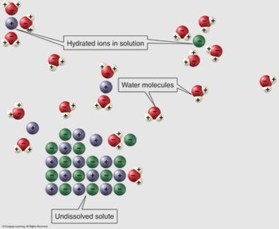 interactions between solvent molecules (often water) and