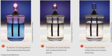 7.7 Solution Properties Electrolytes solutes that when dissolved in water conduct a current of electricity.