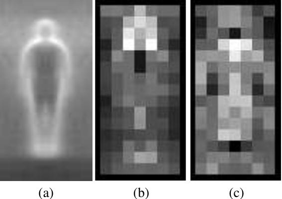 HoG + Linear SVM (a) average gradient image over the training samples (b) each pixel is the max