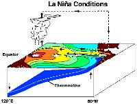 (WARM) HIGH & LOW PRESSURE AREAS IN PACIFIC REVERSE DISRUPTS FISH/BIRD POPULATIONS