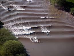 Tidal bore, is a tidal phenomenon in which the