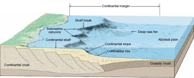 Continental Margin 1. Continental Shelf Submerged edge of continent Gentle slope away from shore Resources! (Gas, oil, gravel, fishing!) 2.