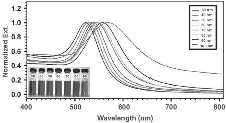 Behaviour of Gold Nanoparticles Figure 2.1 Scheme of a surface plasmon oscillation for a sphere, showing the displacement of the conduction electron charge cloud relative to the nuclei.