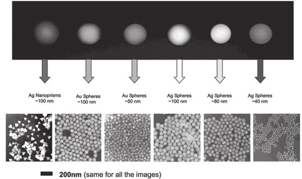 Behaviour of Gold Nanoparticles Because of this secondary radiation, electrons lose energy by a damping effect on their motion. It was found (Figure 2.
