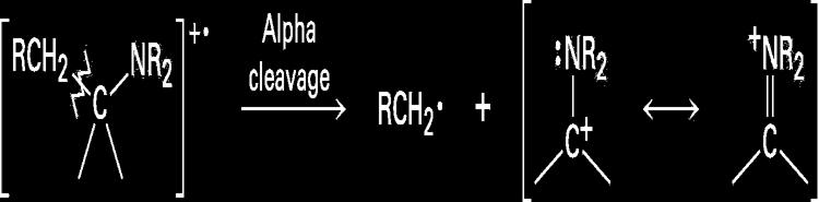 Mass Spectral Cleavage of Amines Amines undergo -cleavage, generating radicals Nitrogen rule: