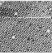 Force Microscopy (MFM) is a variant in which magnetic forces, rather than interatomic ones, dominate (tip is coated with a magnetic film) Magnetic