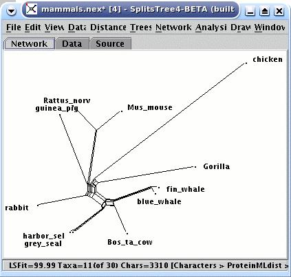 Rooted Splits Networks