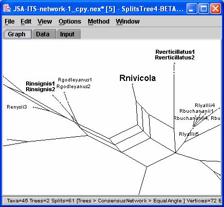 nivicola removal of five confusing branches may be a hybrid in