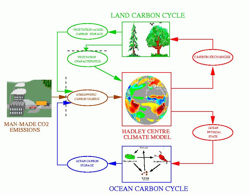 Predicted Amazon drying in the Hadley climate-carbon GCM The Hadley Centre climate-carbon cycle GCM ( HadCM3LC) couples together a variant
