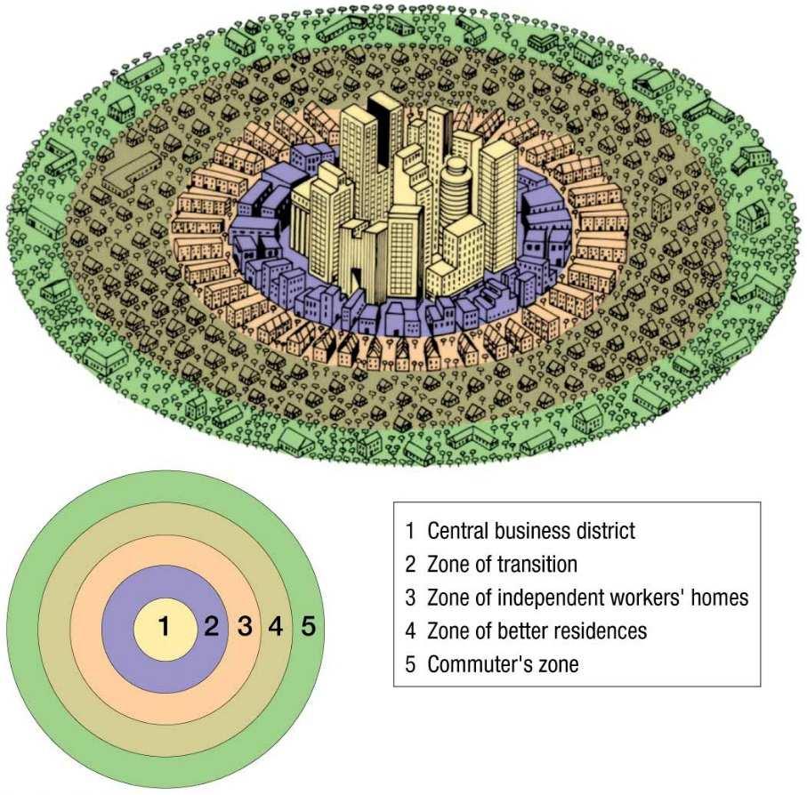Models of Urban Structure Concentric Zone Model- 1923 by sociologist Burgess 1 st explanation of distribution of social groups within urban areas City grows outward from central in a series of rings