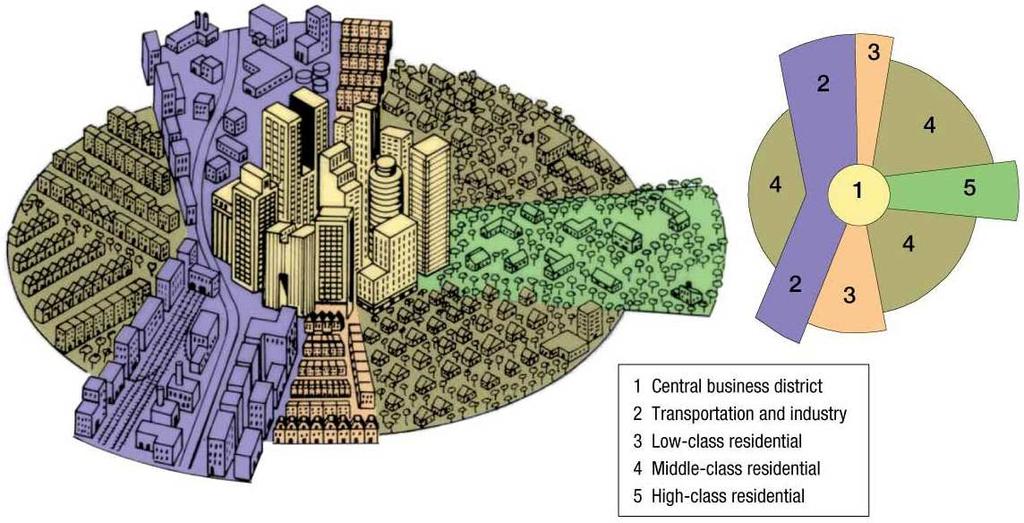 Models of Urban Structure Sector Model Created by land economist Homer Hoyt in 1939 Model that suggests a
