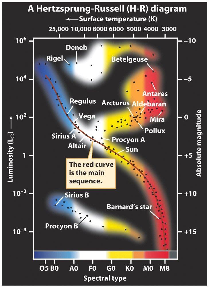 Hertzsprung-Russell (H-R) diagrams The H-R diagram plots absolute magnitudes against surface temperatures 90% stars fall