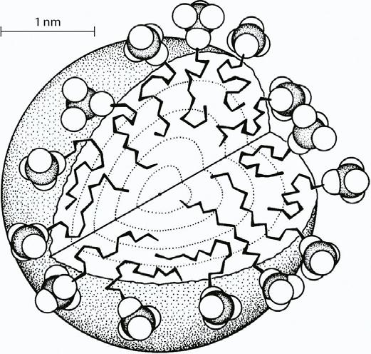 Micelle structure the shape of micelle depends of several factors at low concentrations micelles are spherical with diameter slightly less than twice the
