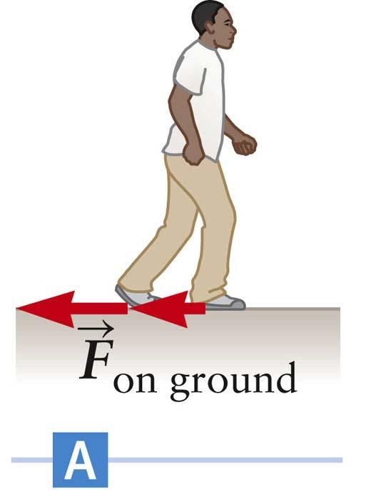 Friction and Walking The person pushes off during each step The bottoms of his shoes exert a force on the ground This