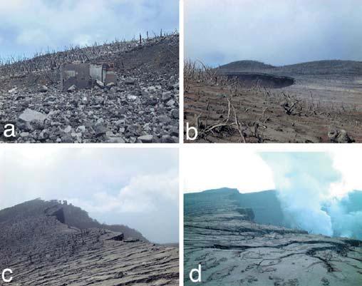 210 Fig. 6 Photographs showing deposits around the caldera. a Lava blocks issued in the 14 and 15 July explosions covered the summit parking lot, breaking a public toilet.
