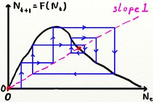 the fixed points of a continuous dynamical system: stable if f (N ) < 0 and unstable if f (N ) > 0, oscillations are not possible in the
