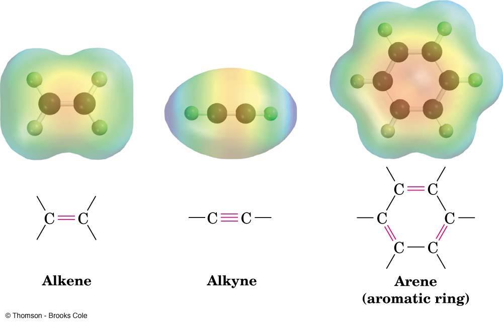 Types of Functional Groups: Multiple Carbon Carbon Bonds Alkenes have a C-C double bond Alkynes have a C-C triple