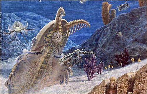 Paleozoic Era The Cambrian Period, the first period in the