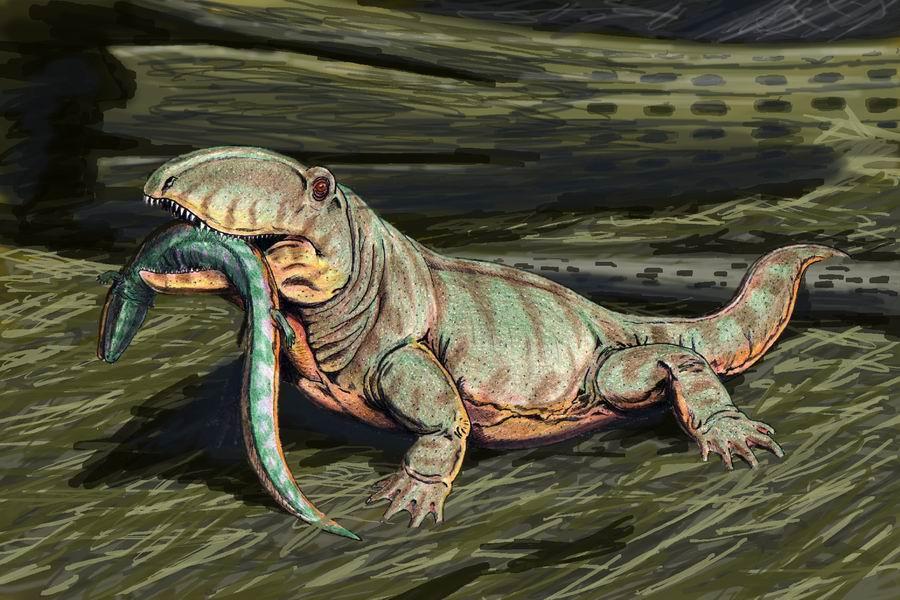 Paleozoic Era Reptiles evolved from