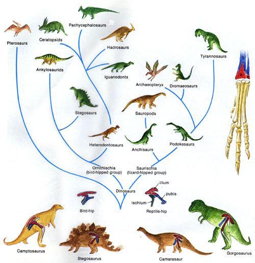 Mesozoic and Cenozoic Eras (251-1.