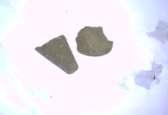 100x. Sample 32.5-40 mm grain size Meet mostly fractioned sandy rock particles almost shaped plate (Fig.
