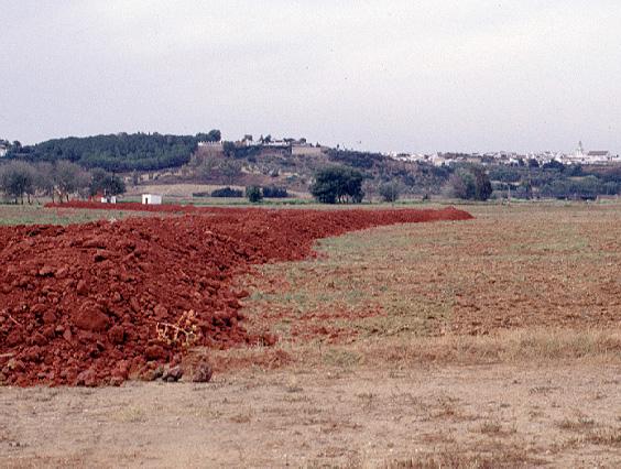 Red soils and iron-rich