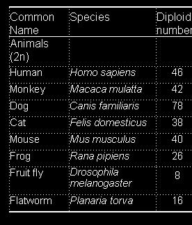 Animals Number