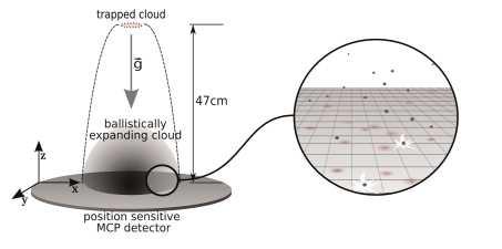 Fig.. Schematic of the apparatus. The trapped cloud has a cylindrical symmetry with oscillation frequencies ω x /π =47Hz and ω y /π = ω z /π = 5 Hz.