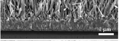 Large surface area ZnO nanowire 2.