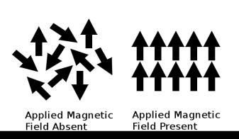 Yet understanding electricity and magnetism separately doesn t explain electro-magnetism, any more than understanding horses and birds would explain a winged horse.