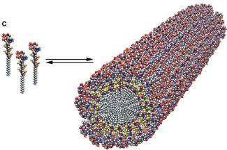centered on synthesis and properties of porous coordination polymers/metal-organic frameworks.