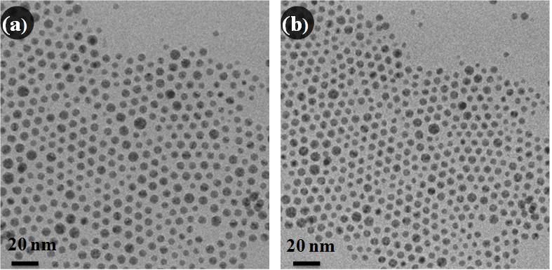 Fig. S8: TEM images of MnFe 2 O 4 nanoparticles: (a) before ligand exchange (amine functionalized nanoparticles); (b) after ligand exchange with oleic acid. E.