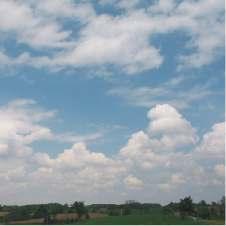 On a typical summer day, so many cumulus clouds may form that