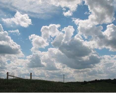 Cumulus often appear with other cloud types.