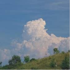 Towering Cumulus This bulging, cauliflower-topped cloud develops from smaller cumulus clouds